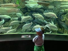 -成都浩海立方海洋公园