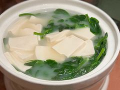 都想吃豌豆尖豆腐汤-浩海火燒雲傣家菜(芮欧百货店)