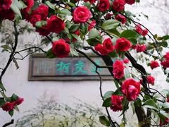-沧浪亭