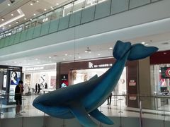 -凯德广场(学府店)