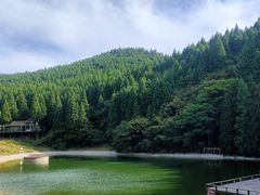 -武陵山森林公园