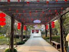 -白马涧龙池景区
