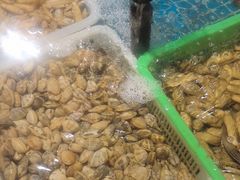 -和源祥·日照菜扛把子(万平口一店)