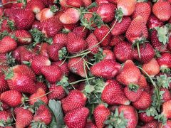 -花果山生鲜超市(浑河湾店)