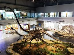 -自贡恐龙博物馆