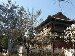 景点-景山公园