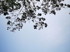 -武昌江滩