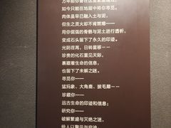 -大庆市博物馆