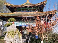 -阅江楼风景区
