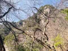 -王顺山国家森林公园