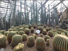 -南山植物园