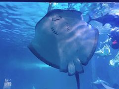 -常州海昌海洋探索馆