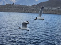 -班公湖