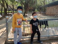 -广东茂名森林公园