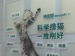 -美联众合动物医院·24h京西诊疗中心