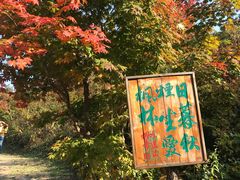 -龙道沟景区