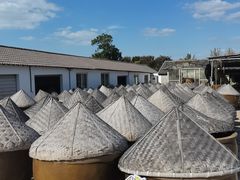 -苏州市吴中区光福窑上花果蜜饯厂