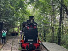 -五营红松林海景区