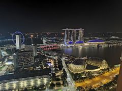 -新加坡瑞士史丹福酒店