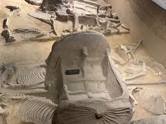 -洛阳周王城天子驾六博物馆