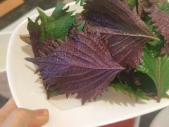 -揽月斋炙子烤肉·清真(安定门·五道营店)