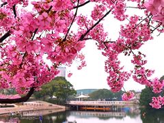 -新江湾城公园