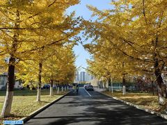 -辽东学院(南校区)