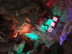 -贵州森林野生动物园