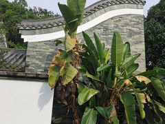 -广州神农草堂中医药博物馆