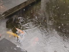 -漫笙舍Manse·咖啡·民宿