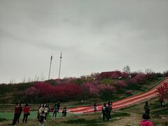 -秀丽东方