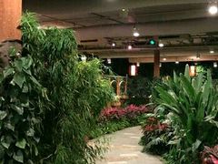 -南宫温泉水世界