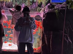 -常州海昌海洋探索馆
