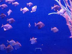 -沈阳海洋探索中心