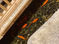 -邈墨茶馆(凤起路店)