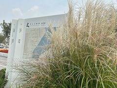 -上海山野camping·户外天幕烧烤·团建拓展营地