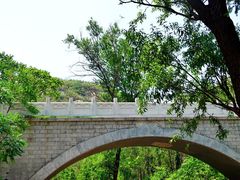 -白水寺森林公园