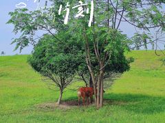 -良渚古城遗址公园