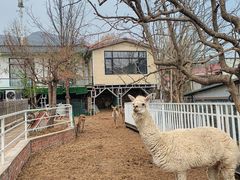 -丽泽山庄·生态怀柔菜·虹鳟鱼(红螺寺店)