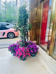 -昆明梦想医疗美容医院