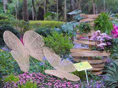 -广州市白云山风景名胜区