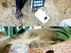 -中国天府农业博览园