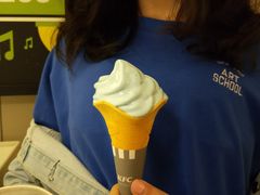 冲绳海盐冰淇淋花筒-肯德基(鲁迅路店)