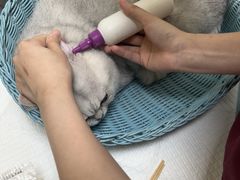 -纳吉亚猫专科动物医院博雅分院