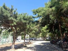 -东北大学(南湖校区)