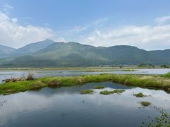 -腾冲北海湿地