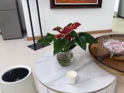 -薇兰专业脱毛连锁机构