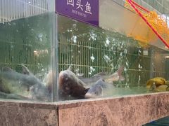 -鱼你相聚·河鲜馆(袁家岭店)