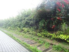 -铁路文化公园