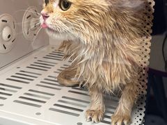 -FAELING PETS美天灵宠物(富力广场店)